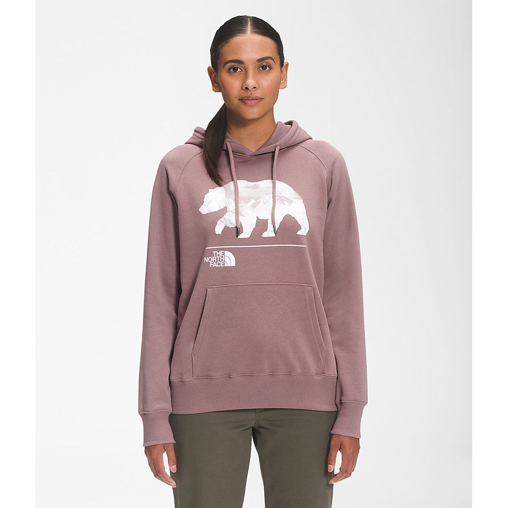 The North Face Sweatshirts Womens Australia - The North Face Bearscape 2.0 Pullover Hoodie Light Pur